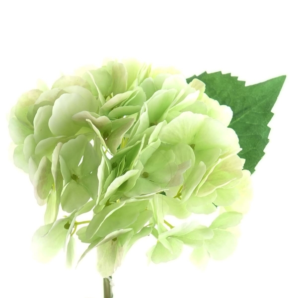 DPI Hortensienblüten Creme-Grün 34 cm - Kunstblumen 