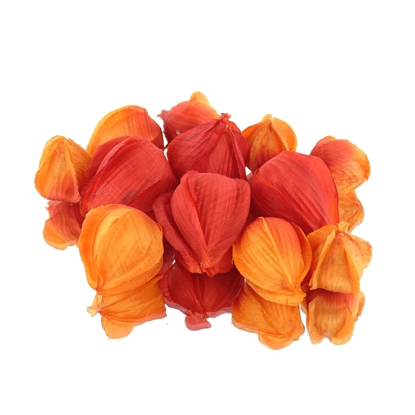 DPI Lampionpflanze - Physalis Früchte Orange Ø 3 bis 5 cm - Kunstblumen