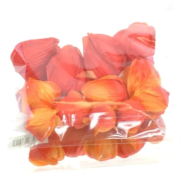 DPI Lampionpflanze - Physalis Früchte Orange Ø 3 bis 5 cm - Kunstblumen
