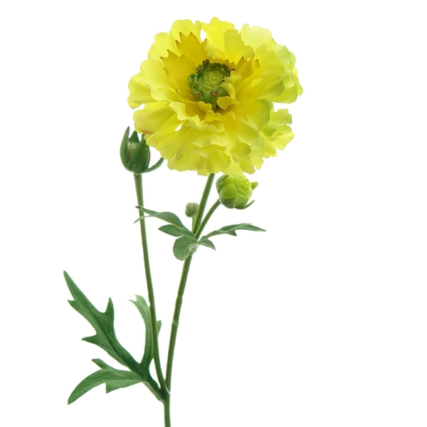 DPI Ranunkel Gelb mit drei Knospen 58 cm - Kunstblumen