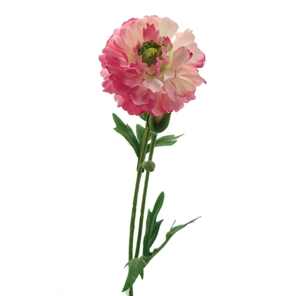 DPI Ranunkel Rosa mit drei Knospen 58 cm - Kunstblumen