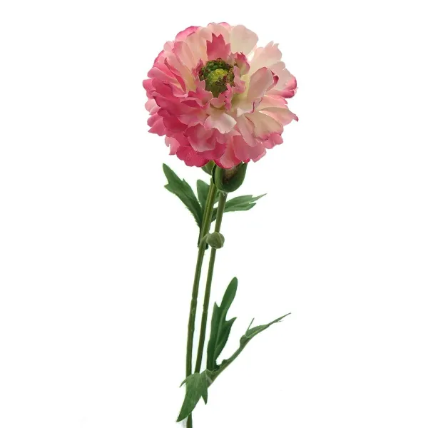 DPI Ranunkel Rosa mit drei Knospen 58 cm - Kunstblumen