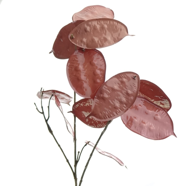 DPI Zweig mit braun-roten Fruchtständen 74 cm - Kunstpflanzen