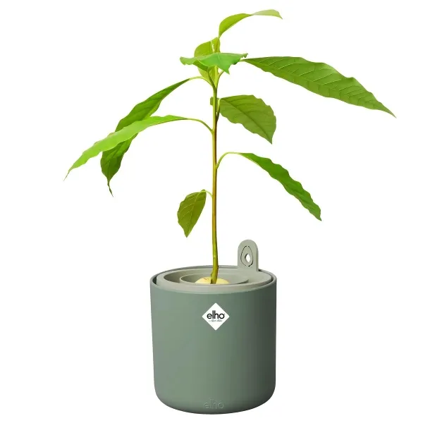 elho® Avocado Topf, Amazing, laubgrün