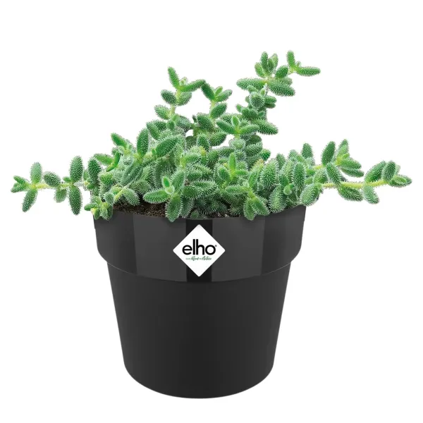 elho® b.for Übertopf Original Mini Schwarz Ø 13 cm - Kunststoff