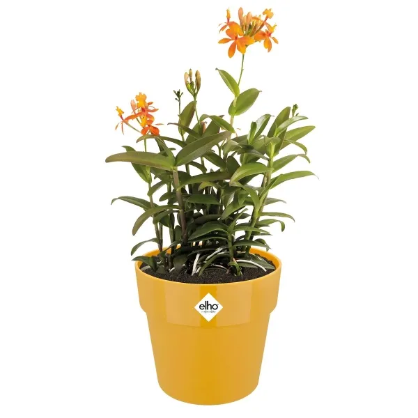elho® b.for Übertopf Original Ockergelb Ø 18 cm - Kunststoff
