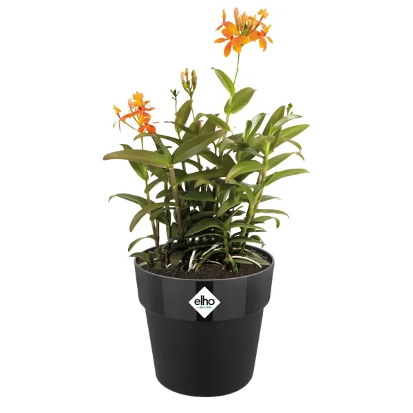 elho® b.for Übertopf Original Schwarz Ø 14 cm - Kunststoff
