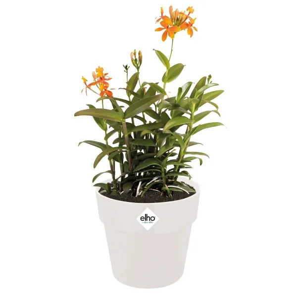 elho® b.for Übertopf Original Weiß Ø 14 cm - Kunststoff