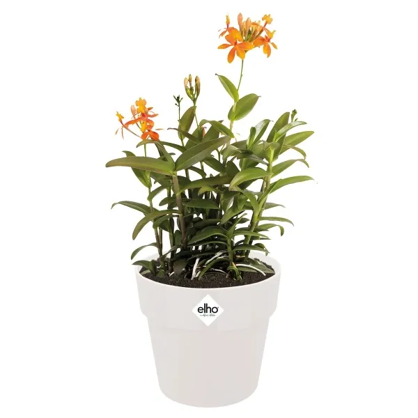 elho® b.for Übertopf Original Weiß Ø 16 cm - Kunststoff
