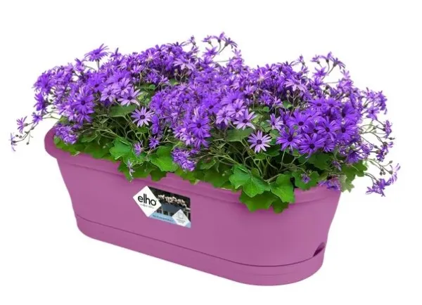 elho® Corsica Blumenkasten Easy Lila Violett 60 x 24 x 19 cm - Kunststoff