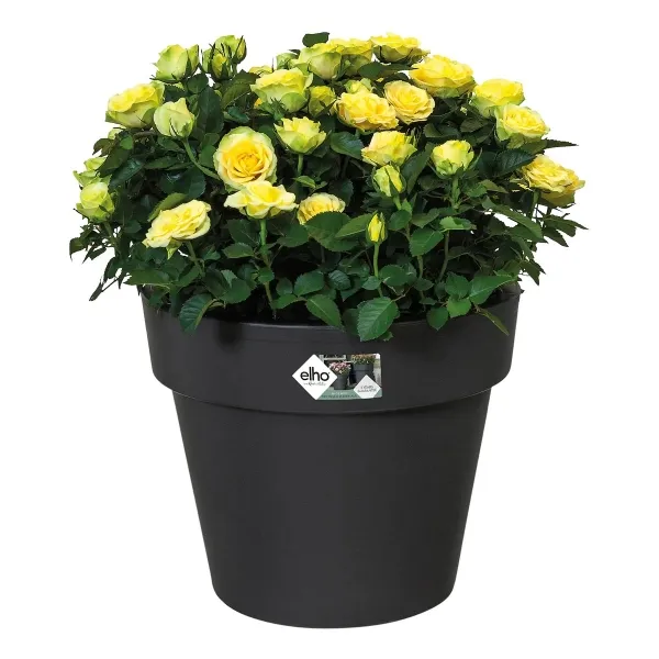 elho® Green Basics Pflanzgefäß Schwarz Ø 23 cm - Kunststoff