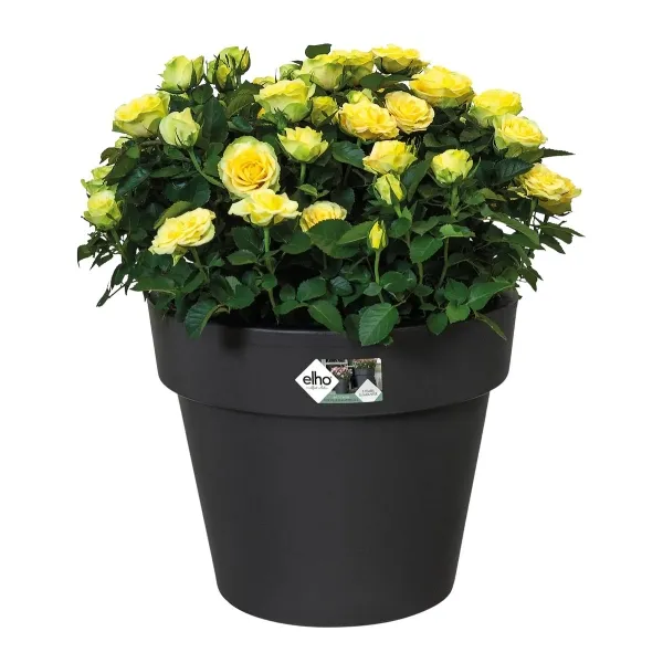elho® Green Basics Pflanzgefäß Schwarz Ø 30 cm - Kunststoff