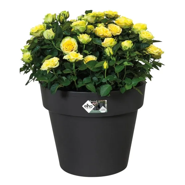 elho® Green Basics Pflanzgefäß Schwarz Ø 40 cm - Kunststoff