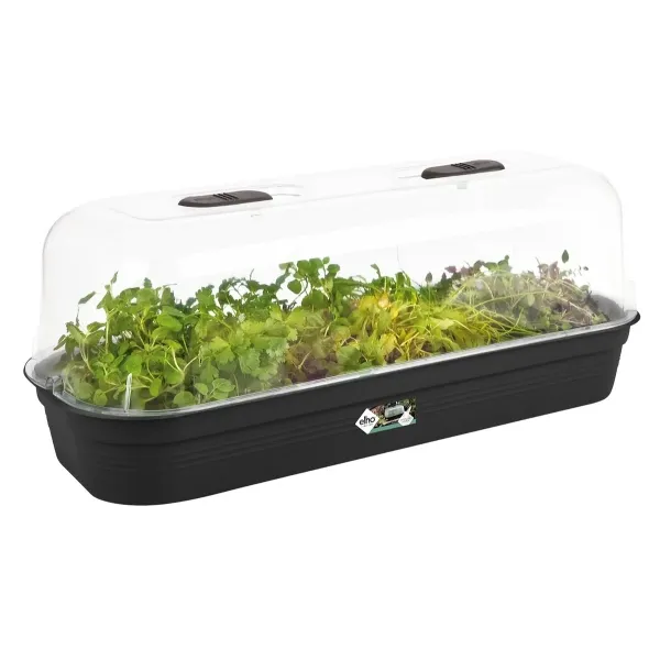 elho® Green Basics Schale L Schwarz rechteckig 51 x 20 cm - Kunststoff