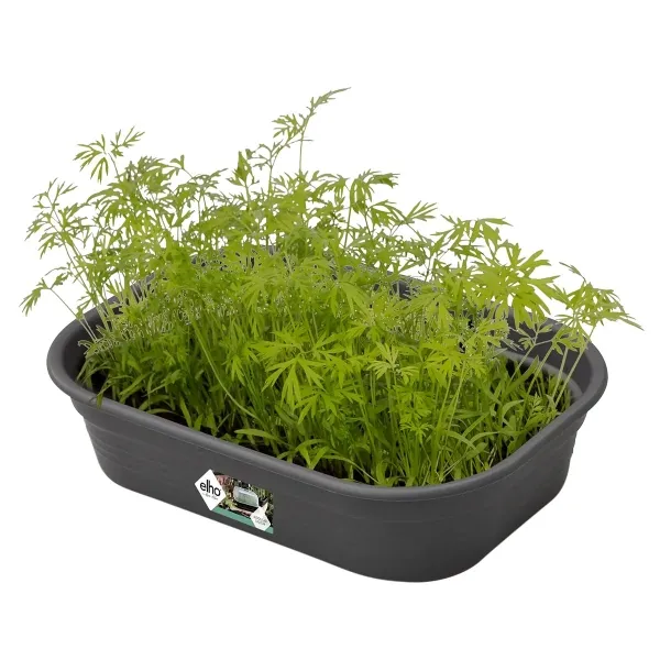 elho® Green Basics Schale S Schwarz rechteckig 24 x 17 cm - Kunststoff