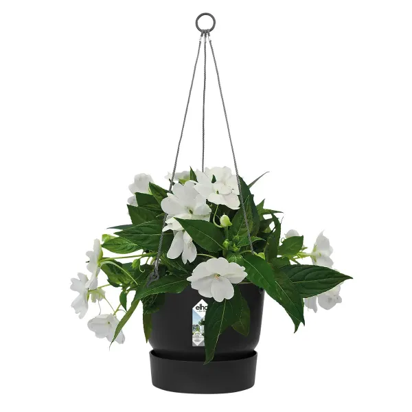 elho® Greenville Blumenampel Living Black Schwarz Ø 24 cm - Kunststoff
