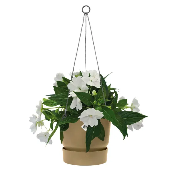 elho® Greenville Blumenampel Sandfarben Ø 24 cm - Kunststoff