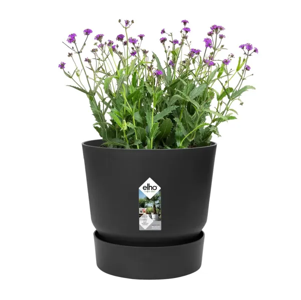 elho® Greenville Pflanzgefäß Living Black Schwarz Ø 20 cm - Kunststoff