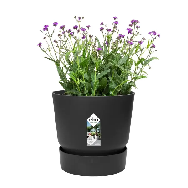 elho® Greenville Pflanzgefäß Living Black Schwarz Ø 25 cm - Kunststoff