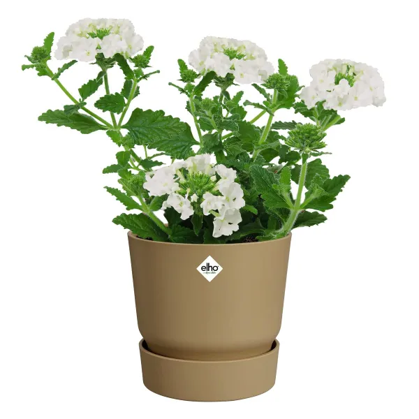 elho® Greenville Pflanzgefäß Sandfarben Ø 20 cm - Kunststoff