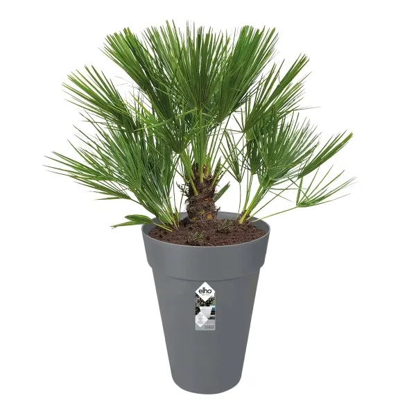 elho® Loft Pflanzgefäß Urban 28 hoch Anthrazit Ø 28 cm - Kunststoff