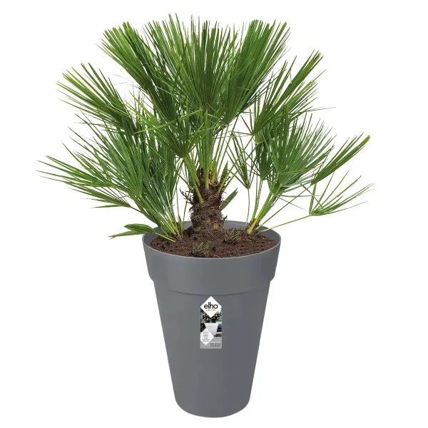 elho® Loft Pflanzgefäß Urban 35 hoch Anthrazit Ø 34 cm - Kunststoff