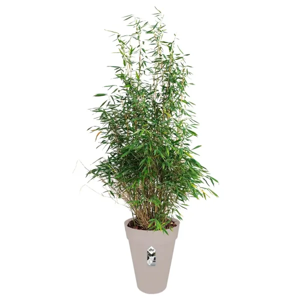 elho® Loft Pflanzgefäß Urban 35 hoch Softgrau Ø 34 cm - Kunststoff