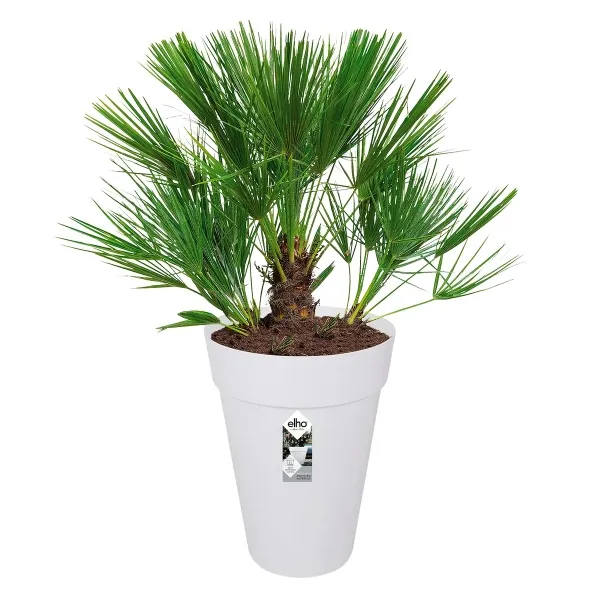 elho® Loft Pflanzgefäß Urban 35 hoch Weiß Ø 34 cm - Kunststoff