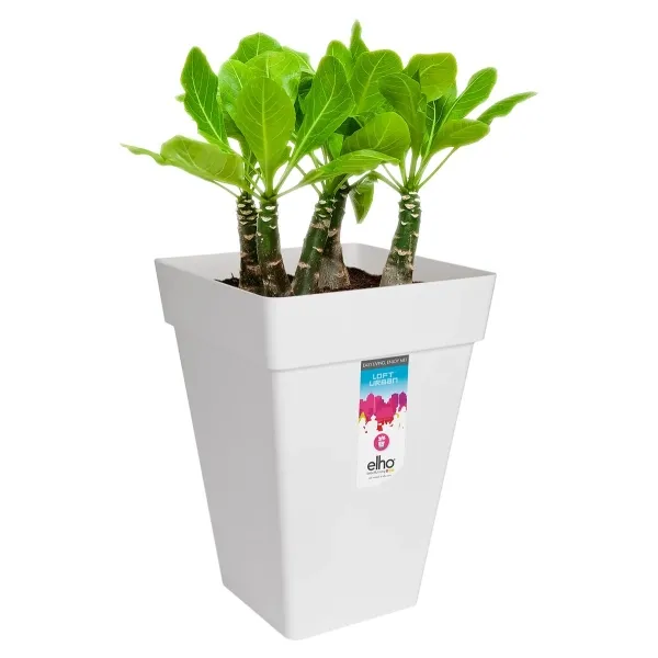 elho® Loft Pflanzgefäß Urban 37 hoch Weiß quadratisch - Kunststoff