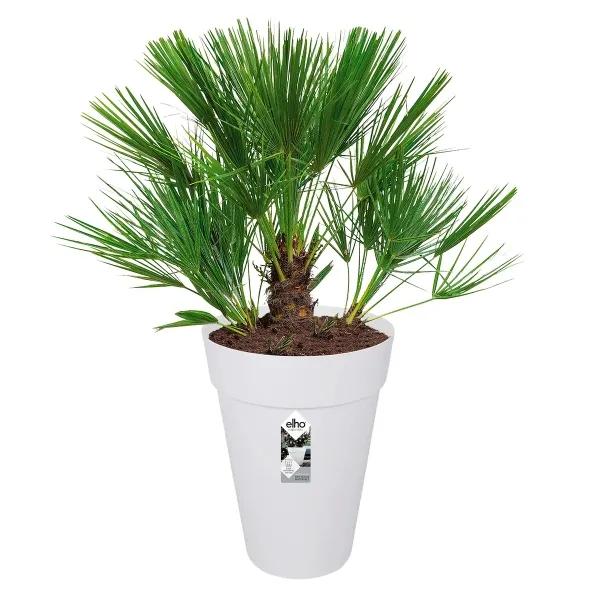 elho® Loft Pflanzgefäß Urban 42 hoch Weiß Ø 42 cm - Kunststoff