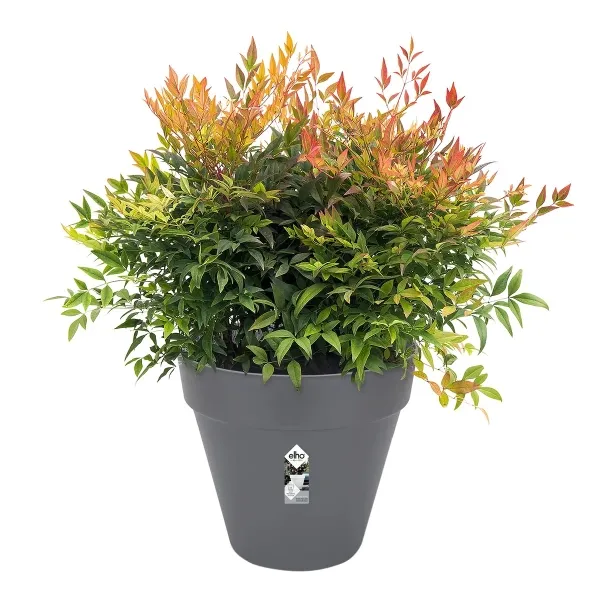elho® Loft Pflanzkübel Urban 20 Anthrazit Ø 19 cm - Kunststoff