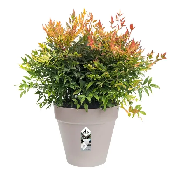 elho® Loft Pflanzkübel Urban 20 Softgrau Ø 19 cm - Kunststoff