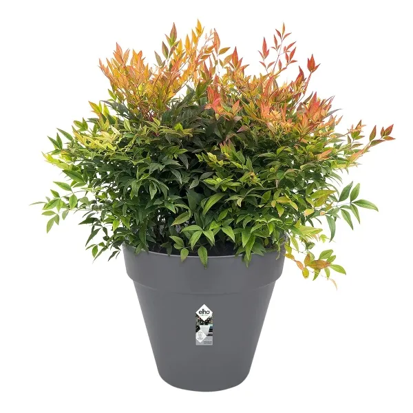elho® Loft Pflanzkübel Urban 25 Anthrazit Ø 25 cm - Kunststoff