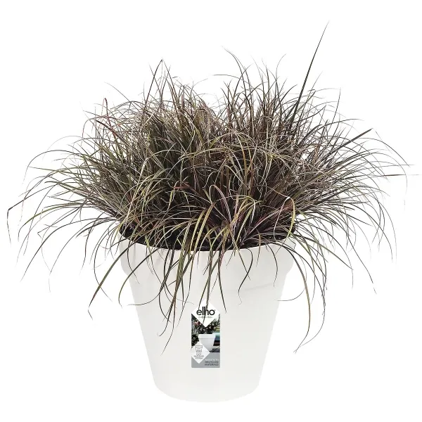 elho® Loft Pflanzkübel Urban 25 Weiß Ø 25 cm - Kunststoff
