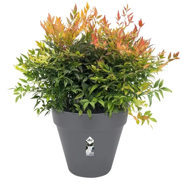 elho® Loft Pflanzkübel Urban 30 Anthrazit Ø 29 cm - Kunststoff