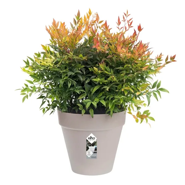 elho® Loft Pflanzkübel Urban 30 Softgrau Ø 29 cm - Kunststoff