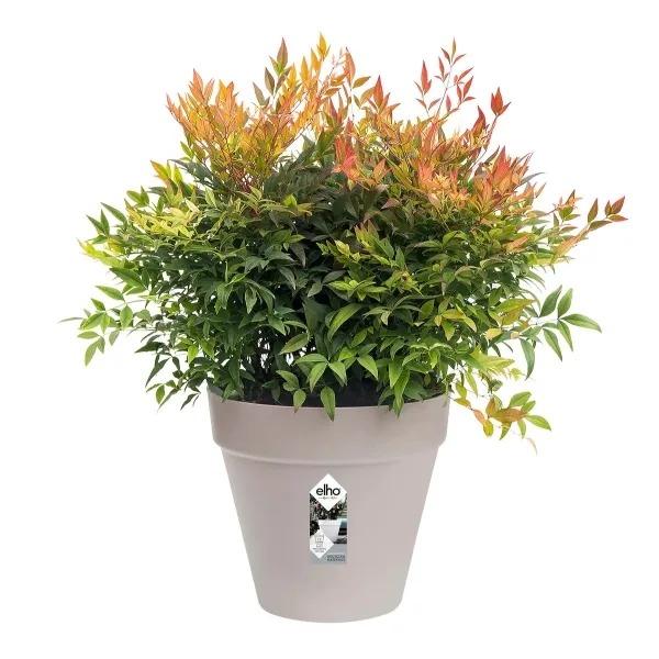 elho® Loft Pflanzkübel Urban 40 Softgrau mit Rollen Ø 39 cm - Kunststoff