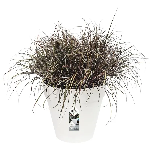 elho® Loft Pflanzkübel Urban 40 Weiß mit Rollen Ø 39 cm - Kunststoff