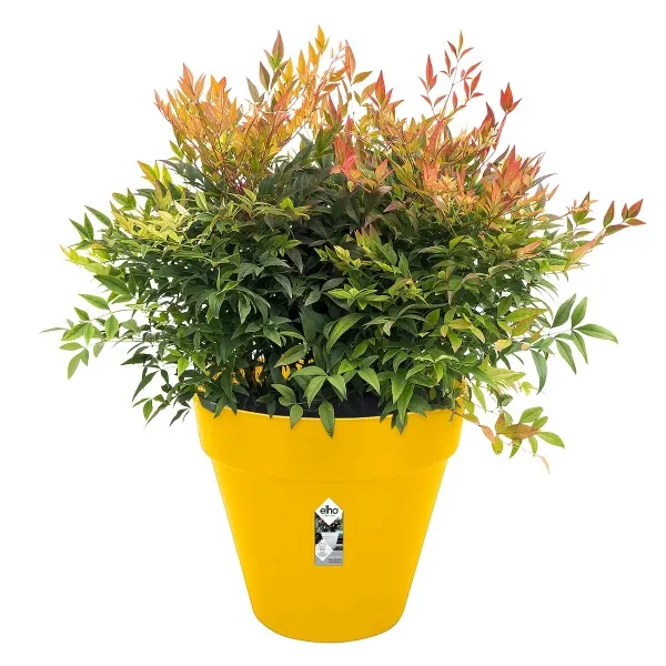 elho® Loft Pflanzkübel Urban 50 Ocker mit Rollen Ø 49 cm - Kunststoff