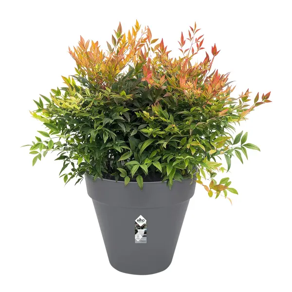 elho® Loft Pflanzkübel Urban 70 Anthrazit Ø 69 cm - Kunststoff