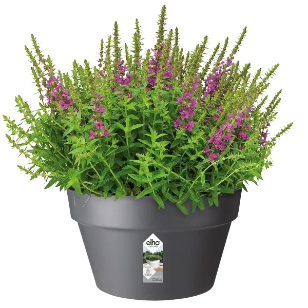 elho® Loft Pflanzschale Urban Anthrazit Ø 35 cm - Kunststoff