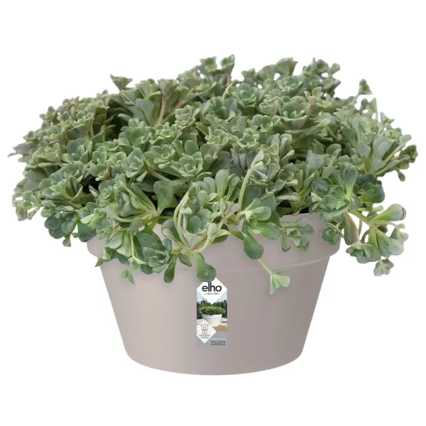 elho® Loft Pflanzschale Urban Softgrau Ø 35 cm - Kunststoff