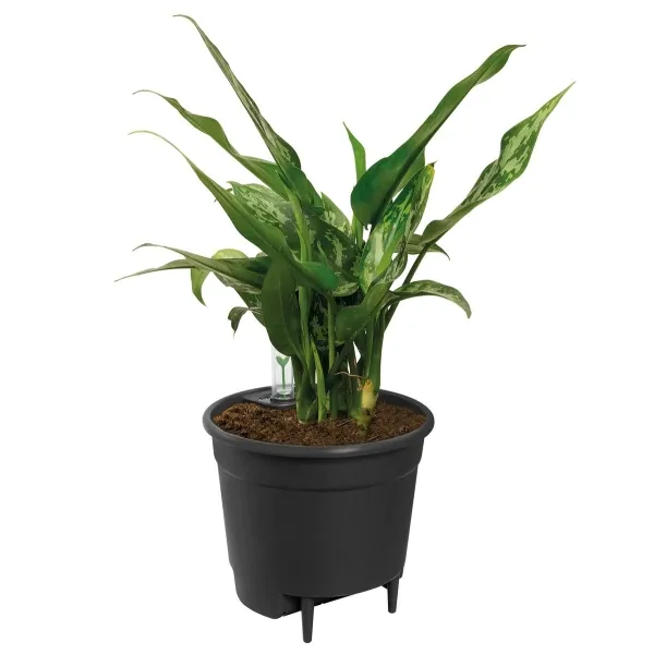 elho® Nachrüstbarer Bewässerungseinsatz Schwarz Ø 21 cm - Kunststoff