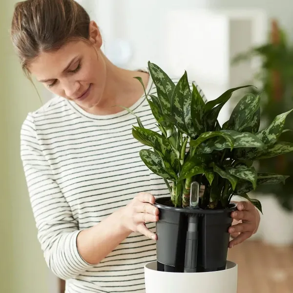 elho® Nachrüstbarer Bewässerungseinsatz Schwarz Ø 21 cm - Kunststoff