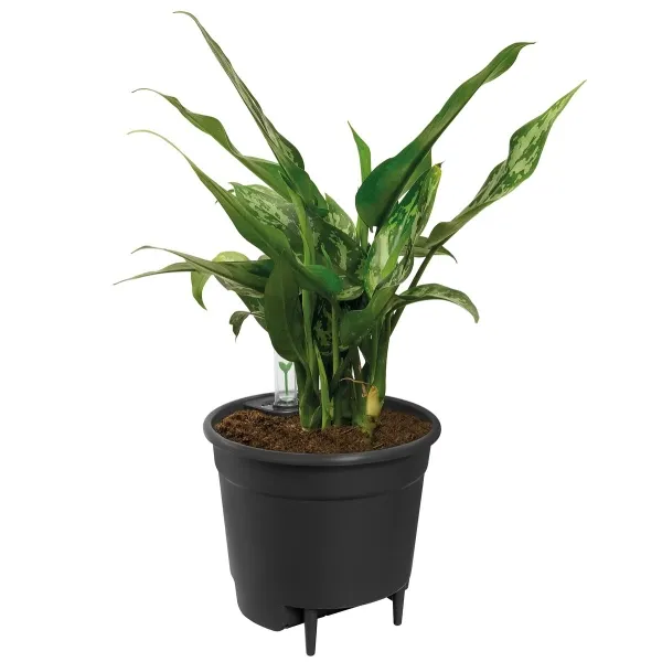 elho® Nachrüstbarer Bewässerungseinsatz Schwarz Ø 24 cm - Kunststoff