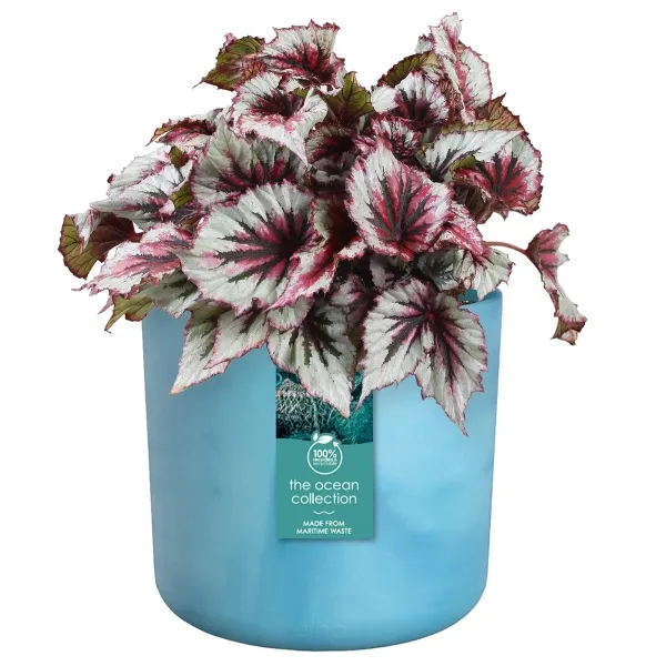 elho® Ocean Übertopf Atlantikblau Ø 14 cm aus Kunststoffen aus dem Meer