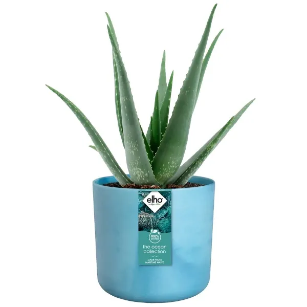 elho® Ocean Übertopf Atlantikblau Ø 14 cm aus Kunststoffen aus dem Meer