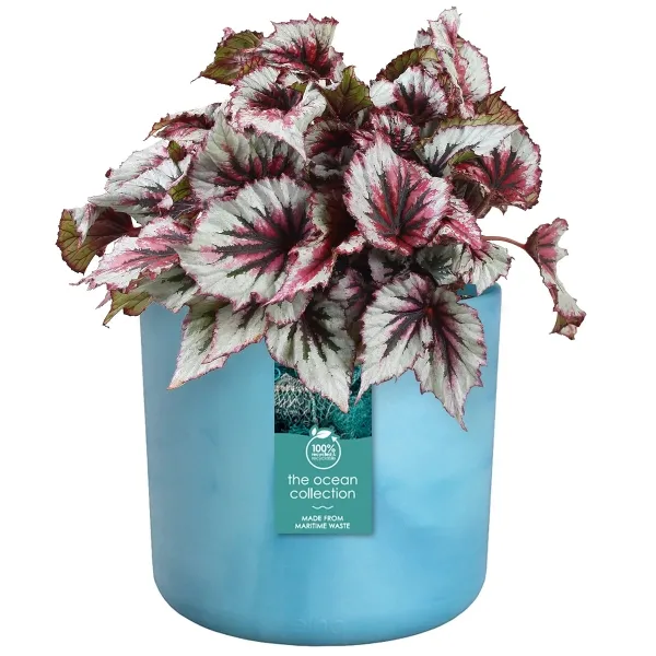 elho® Ocean Übertopf Atlantikblau Ø 18 cm aus Kunststoffen aus dem Meer