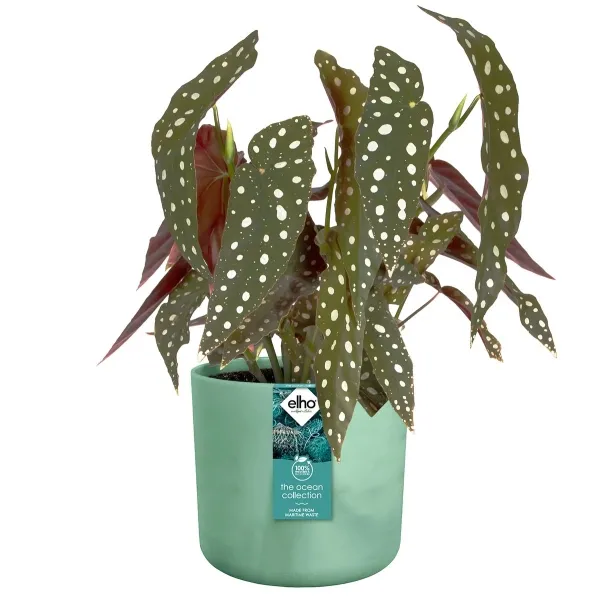 elho® Ocean Übertopf Pazifikgrün Ø 18 cm aus Kunststoffen aus dem Meer