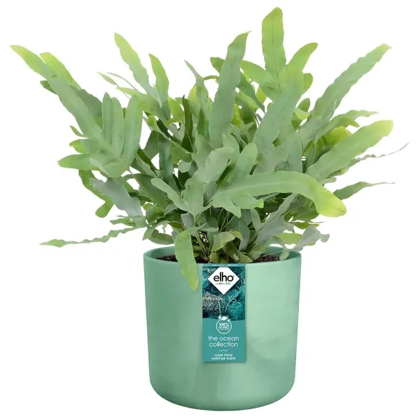 elho® Ocean Übertopf Pazifikgrün Ø 18 cm aus Kunststoffen aus dem Meer